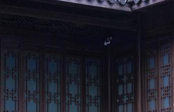 矢量鱼的夏天资源，我能不能说这封面让我想重温一遍沙滩呢？